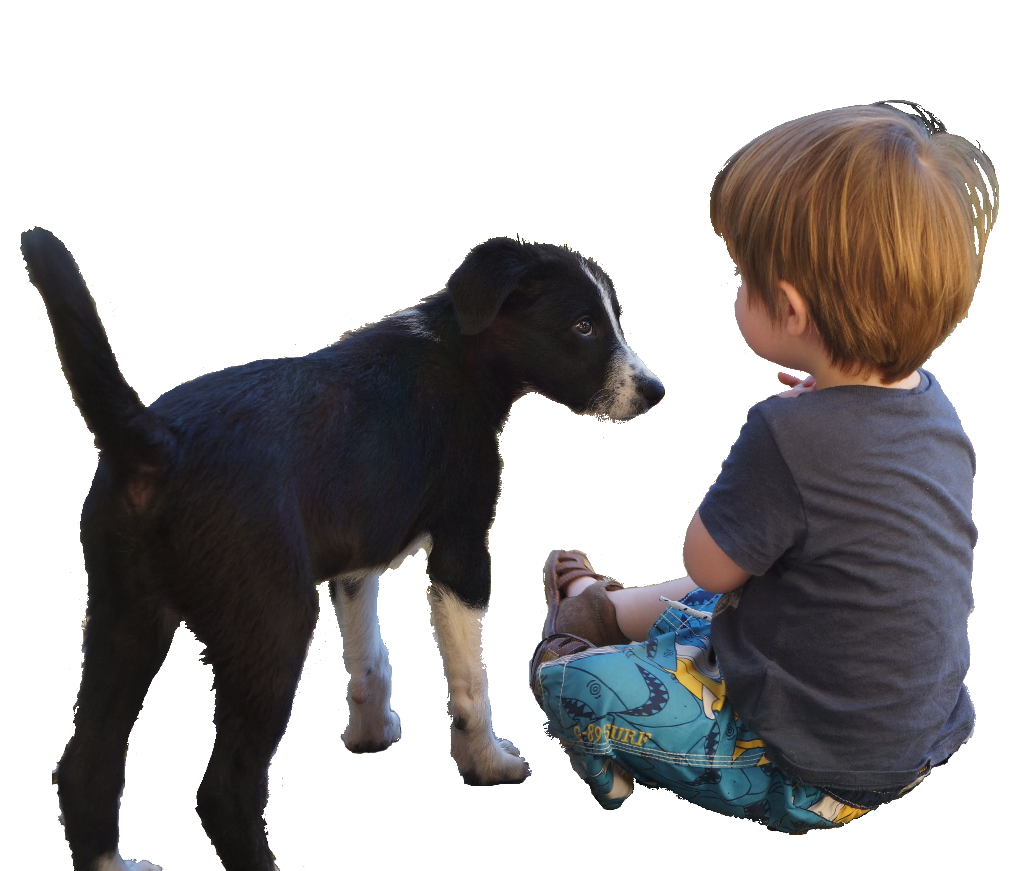 Conseils à l'adoption