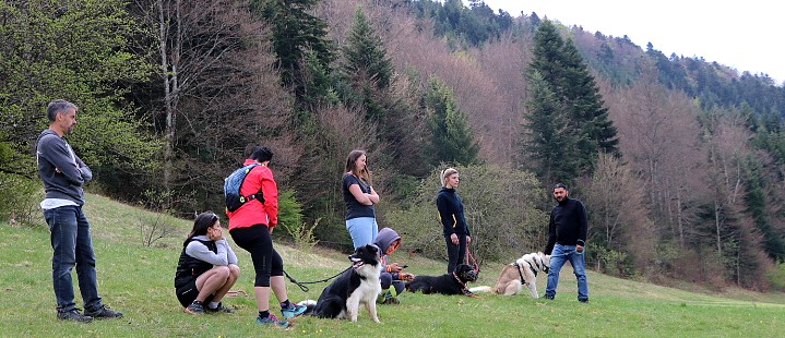 Cours collectifs